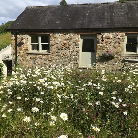 Danygraig Cottage Carmarthen Exterior photo
