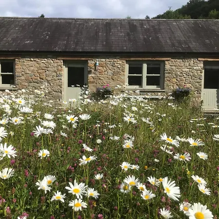 Danygraig Cottage Carmarthen Exterior photo