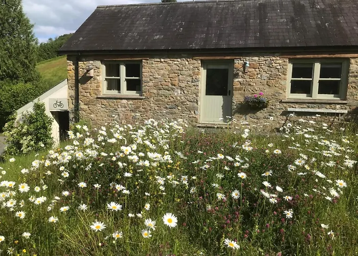 Danygraig Cottage