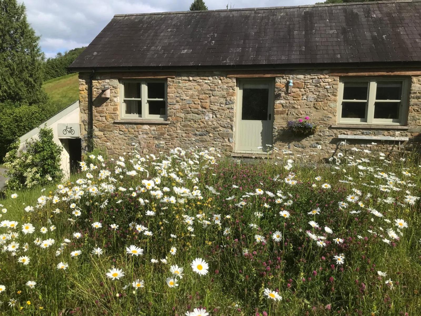 Holiday home Danygraig *