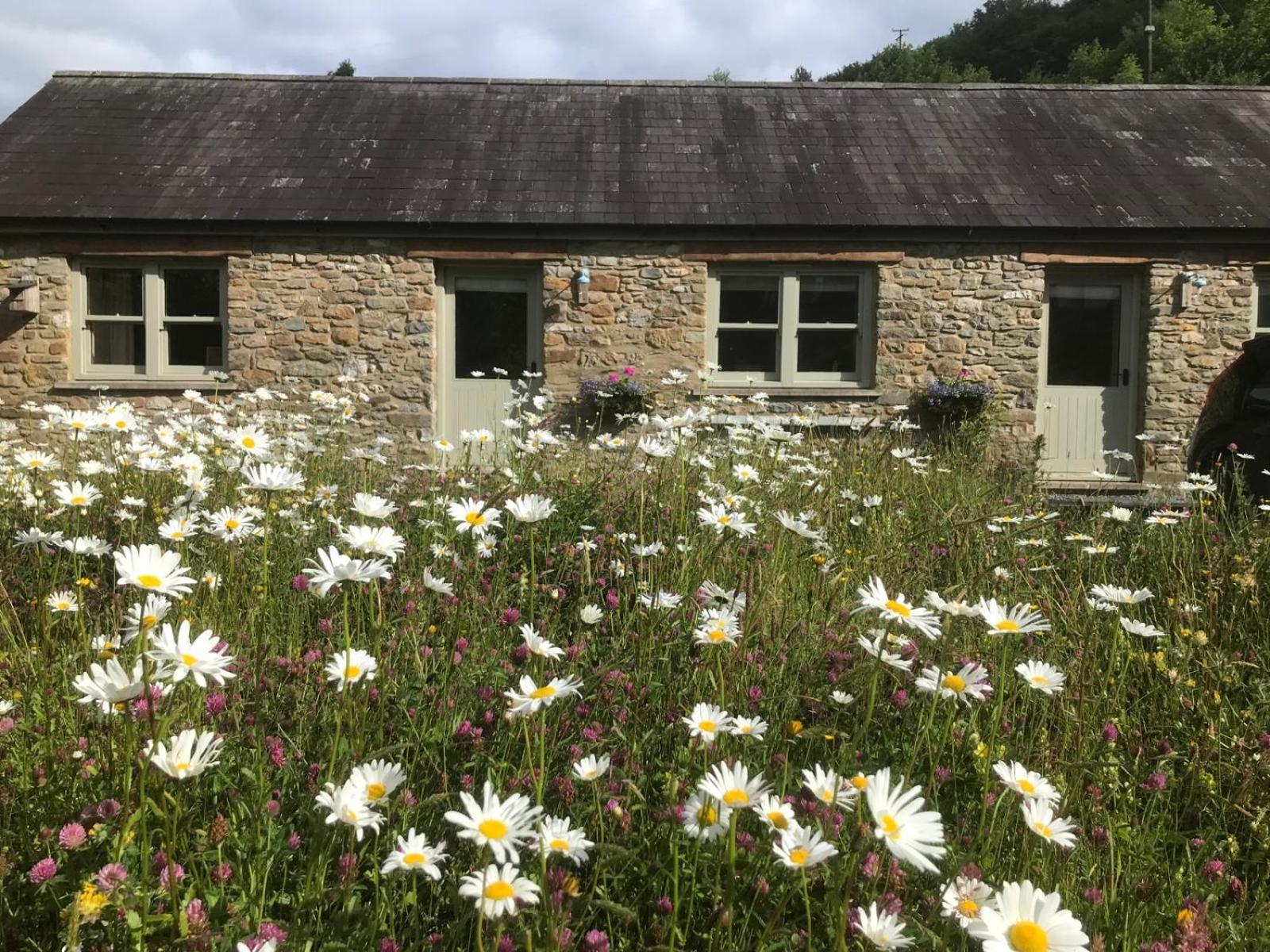 Danygraig Holiday home Carmarthen