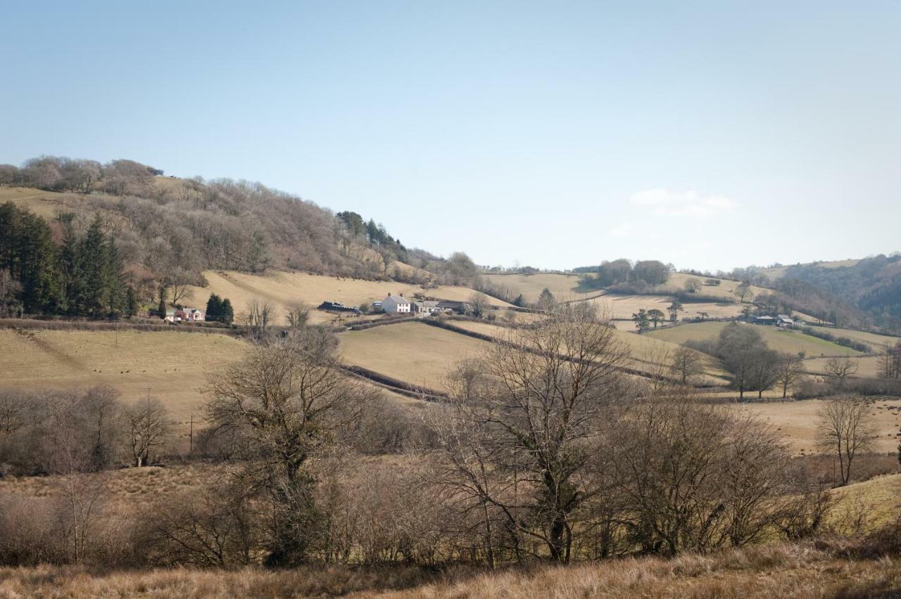 Danygraig *