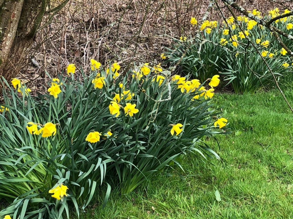 Danygraig Carmarthen